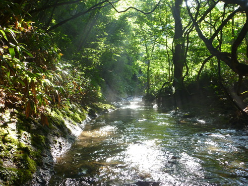 b0195927_13619100.jpg