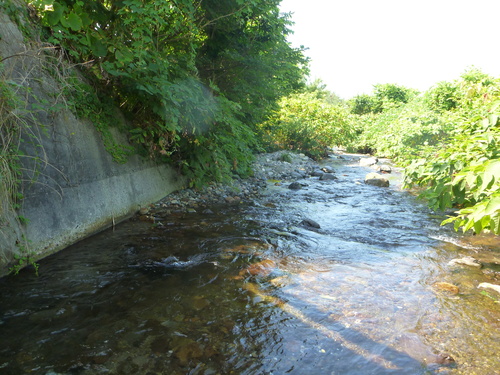 b0195927_18101391.jpg