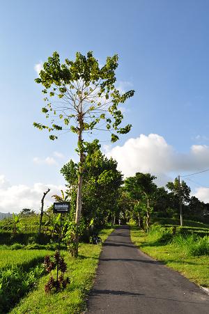 a0120328_2117910.jpg