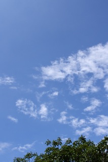 e0021328_045380.jpg