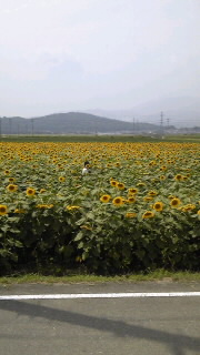 f0118332_16182145.jpg