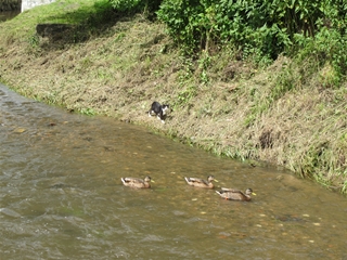 f0224632_1618680.jpg