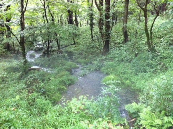 b0072234_1305013.jpg