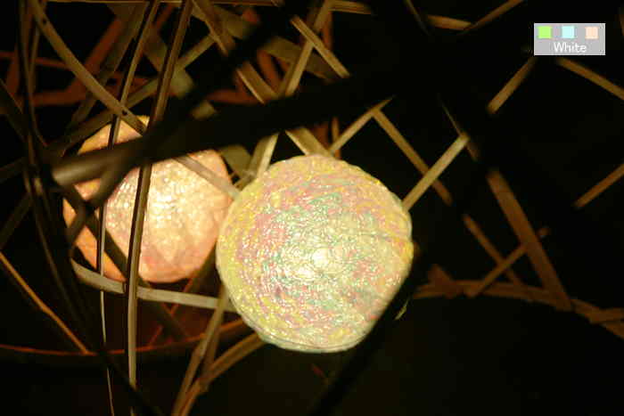 c0227134_11294467.jpg