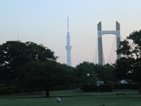 a0185236_0355547.jpg
