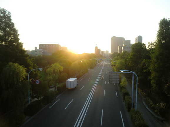 a0185236_039483.jpg