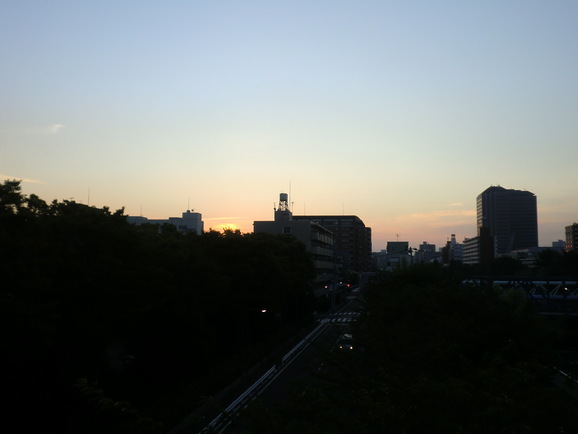 a0185236_06185.jpg