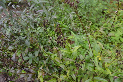 e0228938_21141662.jpg