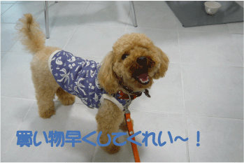 b0182846_13594683.gif