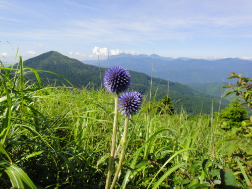 c0179351_1120130.jpg