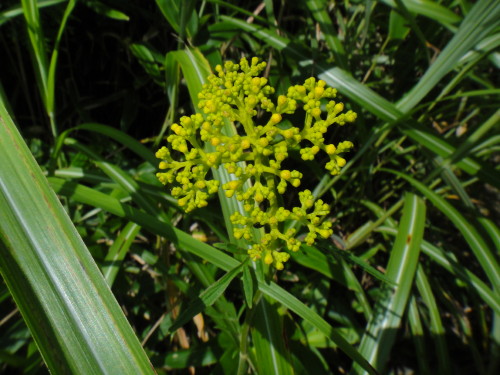 c0179351_11251277.jpg