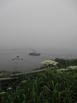 f0009451_12213411.jpg