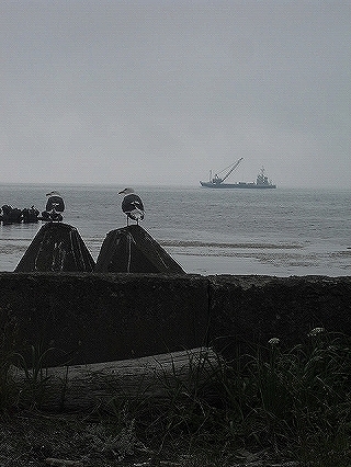 f0009451_940977.jpg