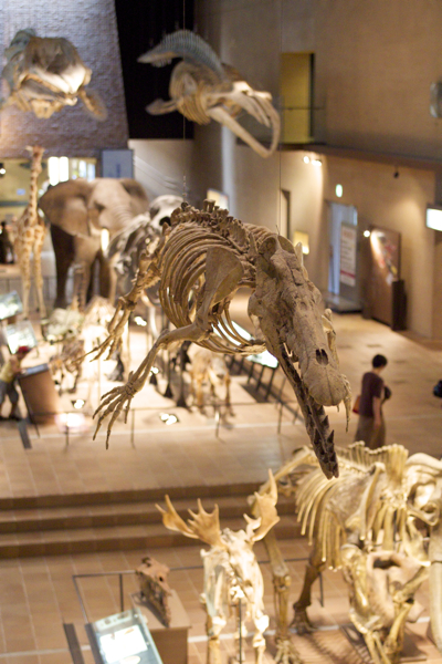 c0163369_1124204.jpg