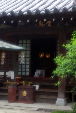 a0196876_2239898.jpg