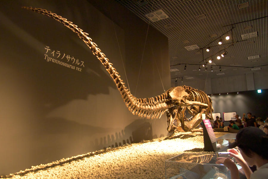 b0083779_11332393.jpg