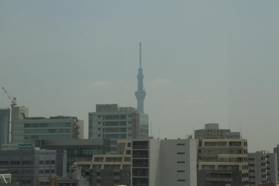 b0083779_11343881.jpg