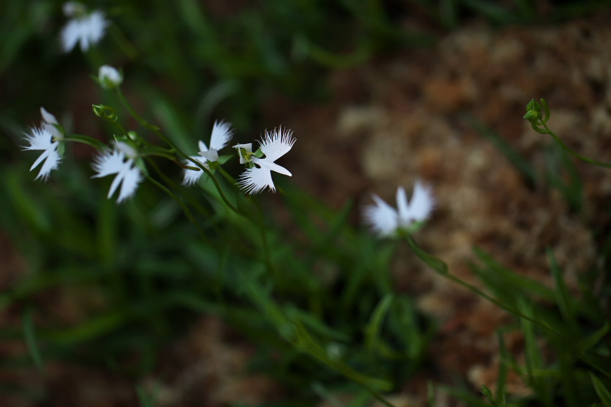 a0083081_16483819.jpg