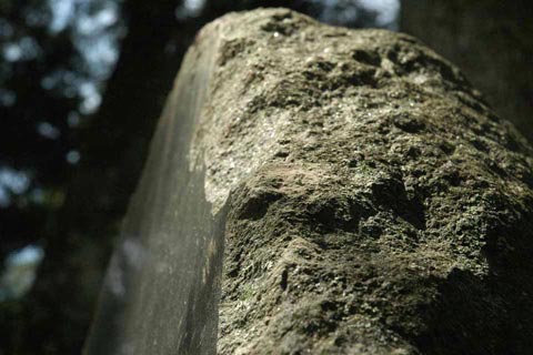 c0170789_821640.jpg