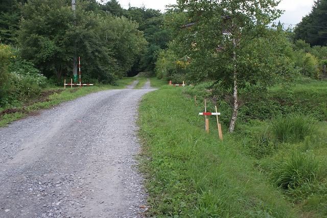 f0079289_80793.jpg