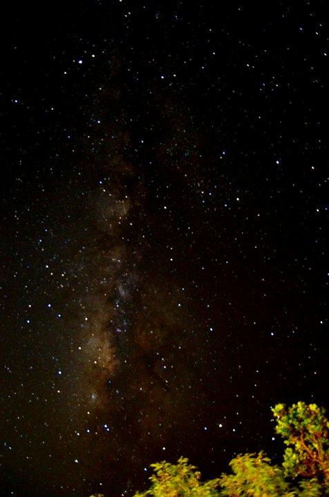 d0020791_0215150.jpg