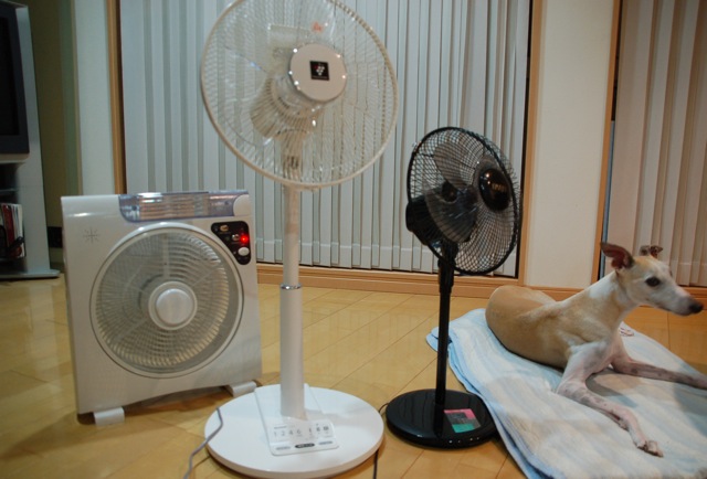 f0094391_22192459.jpg