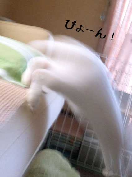 f0201191_23342268.jpg