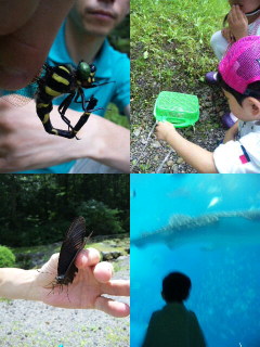 f0098697_11505536.jpg