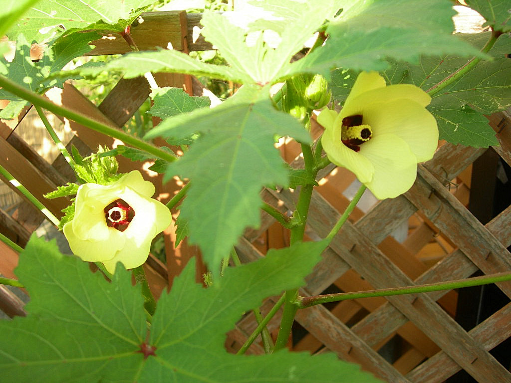 c0220700_13583044.jpg
