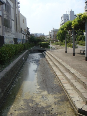 a0167803_17182397.jpg