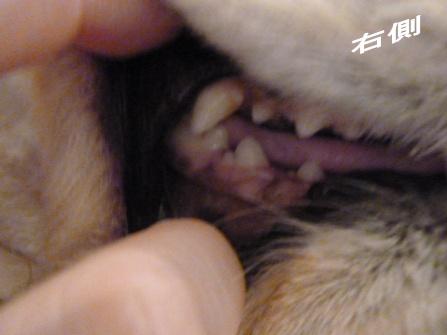 c0128303_15395272.jpg