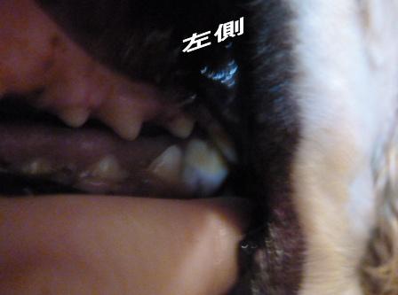 c0128303_1540448.jpg