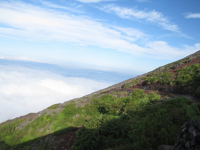c0144703_745234.jpg