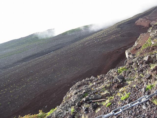 c0144703_7481764.jpg