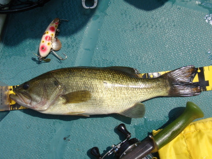 c0023804_1522555.jpg