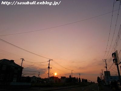 e0145805_0351511.jpg