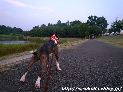 e0145805_0513424.jpg