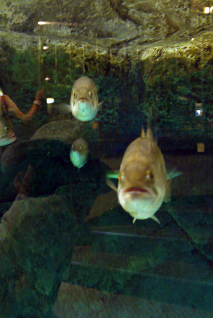e0007510_20535438.jpg