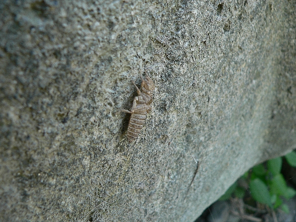 e0002314_17121816.jpg