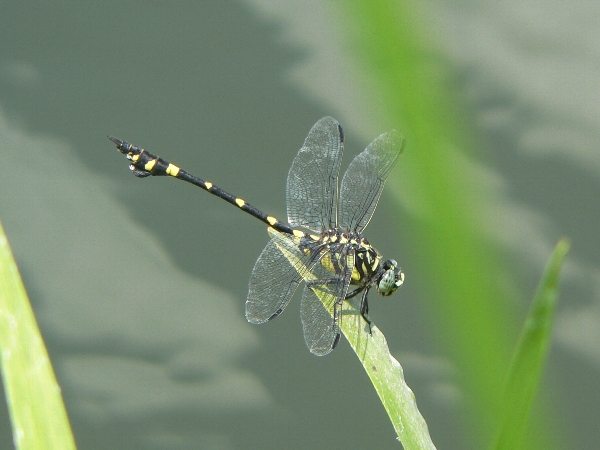 e0002314_1714012.jpg