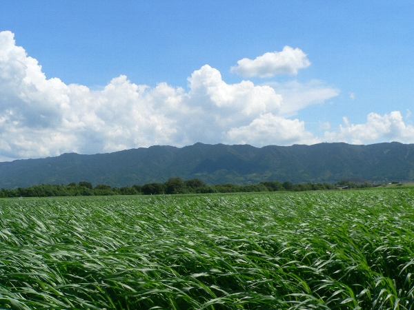 e0002314_1741270.jpg