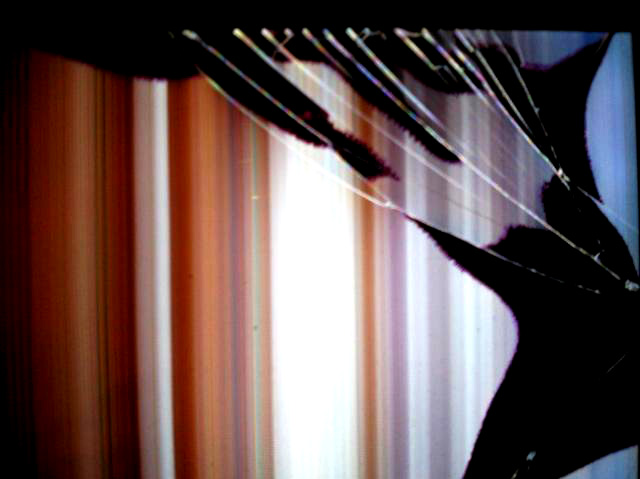 a0101715_14282243.jpg