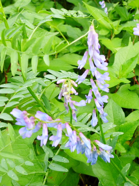 d0170615_13581722.jpg
