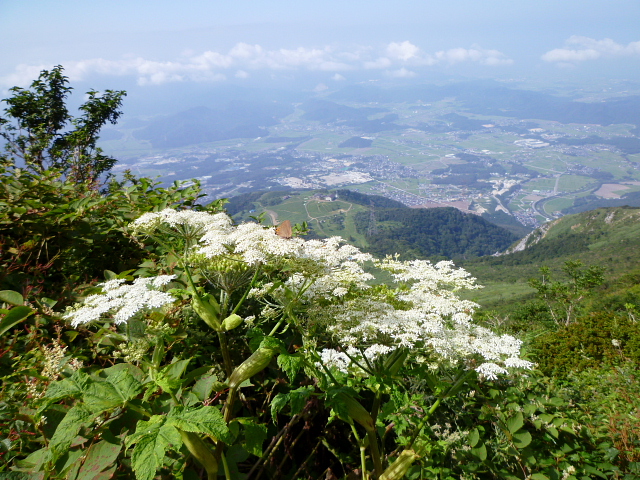 d0170615_13593033.jpg