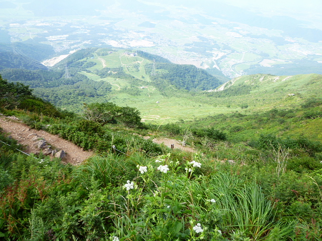 d0170615_1401637.jpg