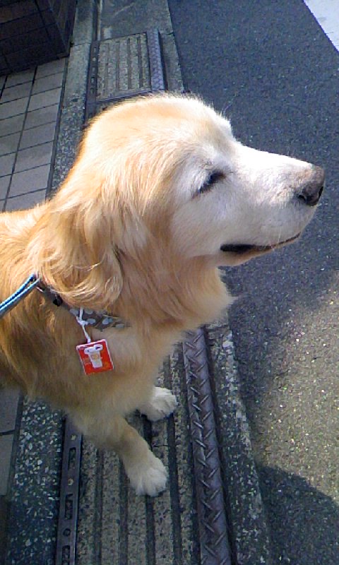 d0244515_22212060.jpg