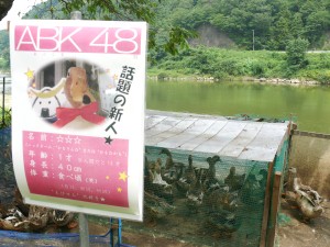 e0097615_132111.jpg