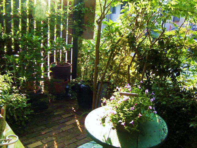 c0204121_7191192.jpg