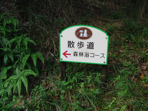 e0179321_1143135.jpg