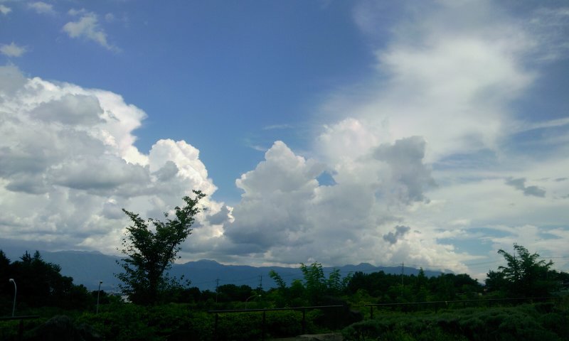 b0206423_1565674.jpg